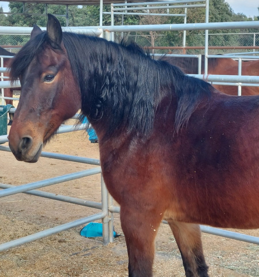 Tex