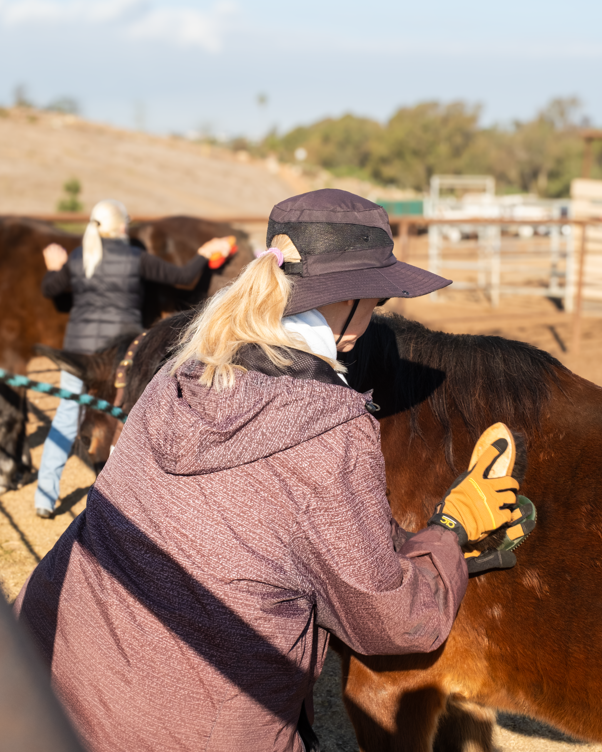 Free Rein volunteer at work