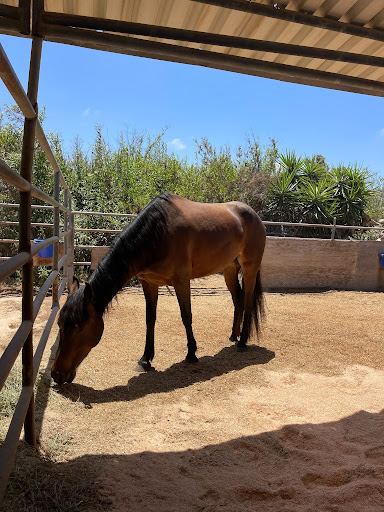 Modoc